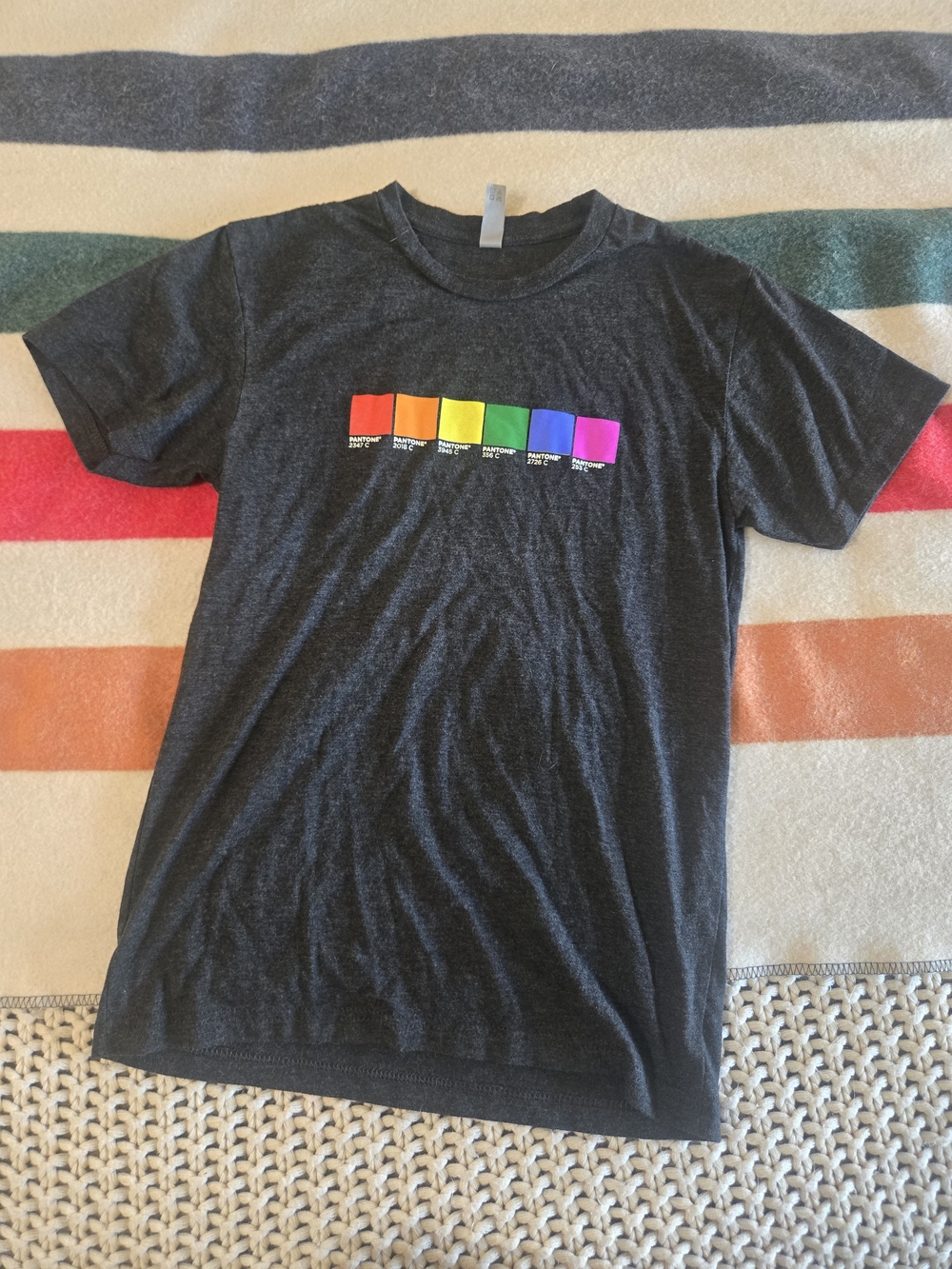 Pantone Rainbow Color Block Graphic Tee - Charcoal